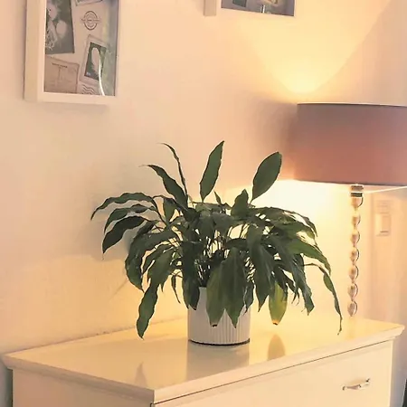 Beautiful Flats In Apartmán